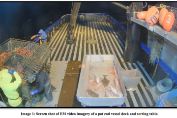EM video imagery pot cod vessel deck