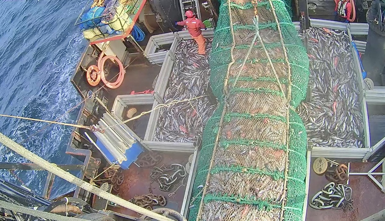 Efficacious And Robust Fishing Trawl Nets On Offers 